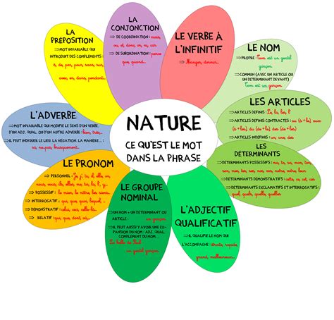 Natures et fonctions des mots - Affichage