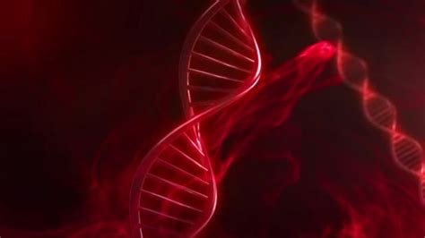 Blood Dna Can Be Used To Predict Risk Of Death Gowing Life