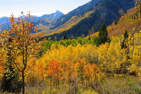 The Best Fall Color Drives In Colorado Luxury Mountain Living
