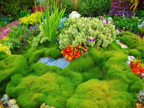 Most vegetables actually do best with dappled or part shade to protect them from the hot, dry sun. Enviroscape LA Landscape Design Manhattan Beach | Drought tolerant plants, Plants, Drought ...