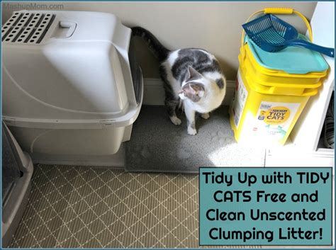How to clean a litter box. Tidy Up with TIDY CATS Free & Clean Unscented Clumping ...