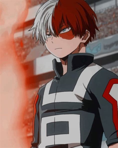 Aesthetic Shoto Todoroki New Paint By Numbers Painting By Numbers