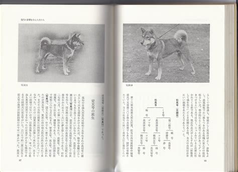 The Nihon Ken Shikoku Book Part 4