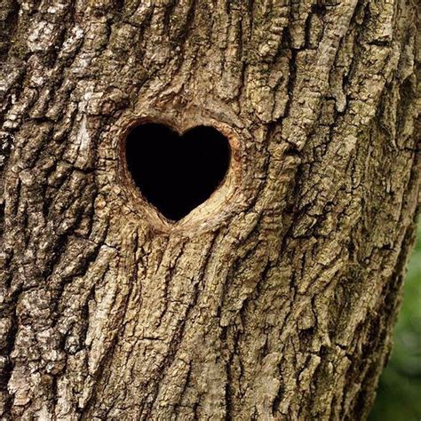 These Beautiful Natural Hearts Found Around The Globe Will Put A Smile