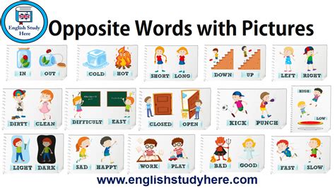 Opposite Words With Pictures English Study Here
