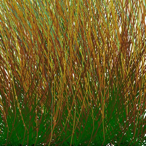 Reed Background Texture Free Stock Photo Public Domain Pictures