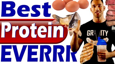 Best Protein To Lose Weight Build Muscle And Get Lean And Ripped Foods To