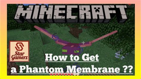 How To Get A Phantom Membrane In Minecraft For Basic Learners Youtube