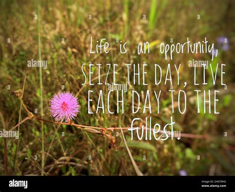 Inspirational and motivational quotes - Life is an opportunity, seize