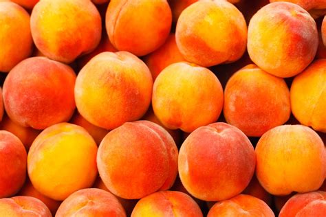 Peach Fruit Background Mydx