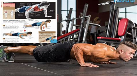 6 Push Up Variations For Your Chest Workout Pure Gym