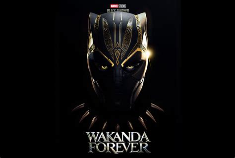 Pantera Negra Wakanda Forever Ubicaciondepersonascdmxgobmx