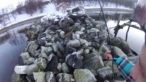 Fishing In Tromso Youtube