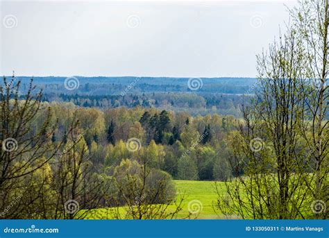 Plain Simple Countryside Spring Landscape With Fresh Green Meadows And