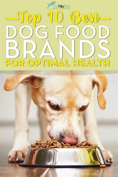 Top 10 Dog Foods Of 2021 What Is The Best Dog Food Brand Today