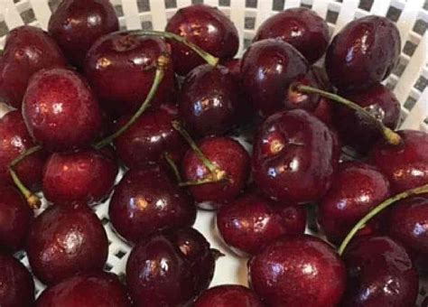 Why You Should Be Eating Cherries Bliss Health Coaching