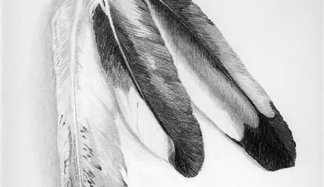 drawings of eagle feathers