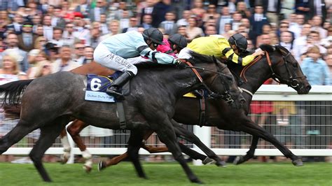 Shergar Cup Ascot Tips Racecards And Previews For The Meeting Live On Itv This Saturday The