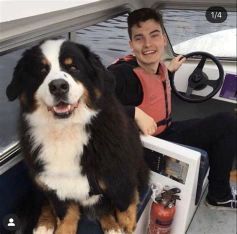 Please Can We All Please Be Nice To Will His Dog Darcy Passed Away I