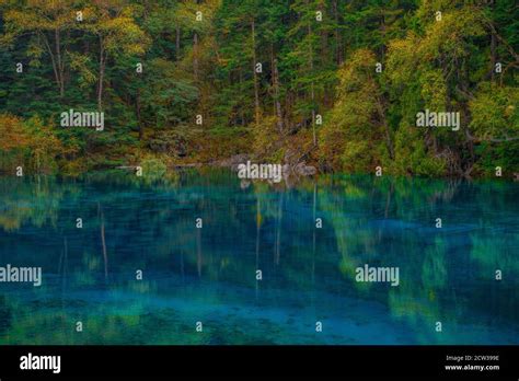 The Turquoise Color Lakes In Jiuzhai Valley With The Forest In Autumn
