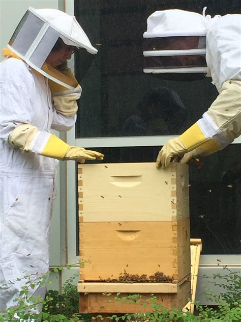 Beehive Inspection Ehsl Vitals
