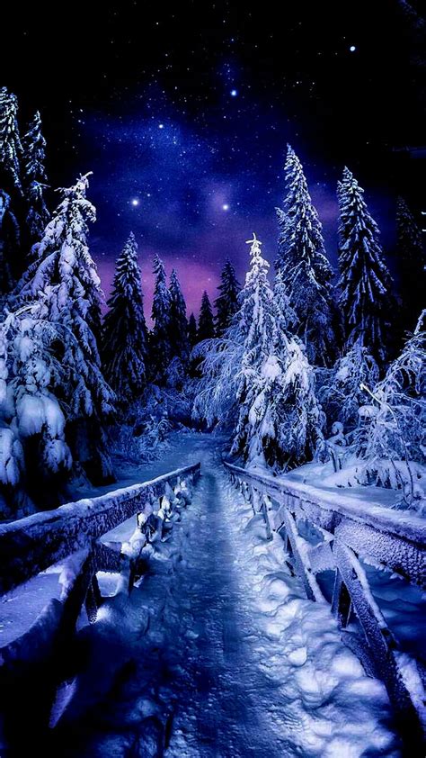 1920x1080px 1080p Free Download Snow Night Beauty Dark Natural
