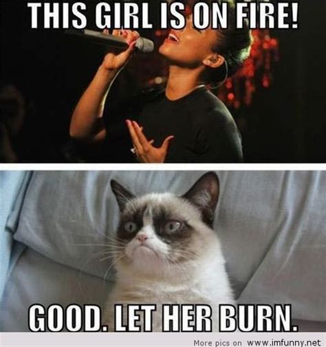 this girl is on fire good let her burn grumpy cat meme quotesbae