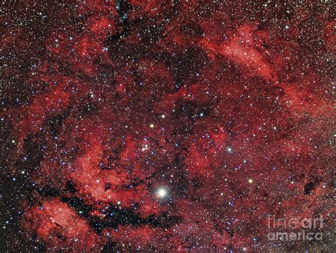Sadr Region In The Constellation Cygnus Photograph By Reinhold Wittich