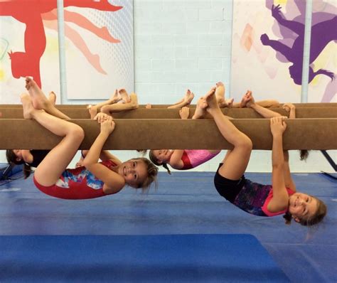 Special Open Gym Picture Viking Gymnastics