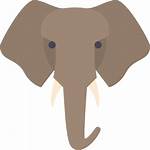 Elephant Icon Svg Animal Vector Icons Animals