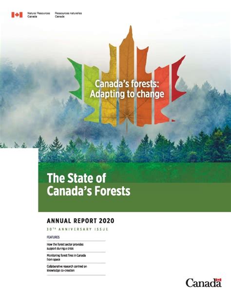 The State Of Canadas Forests Annual Report 2020 Canadian