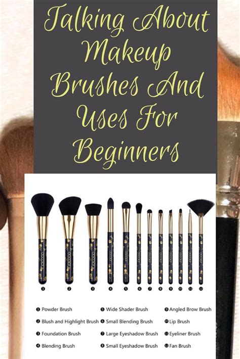 7 Best Makeup Brushes And Their Uses With For Beginners Trabeauli