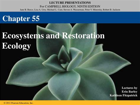 Ppt Ecosystems And Restoration Ecology Powerpoint Presentation Free