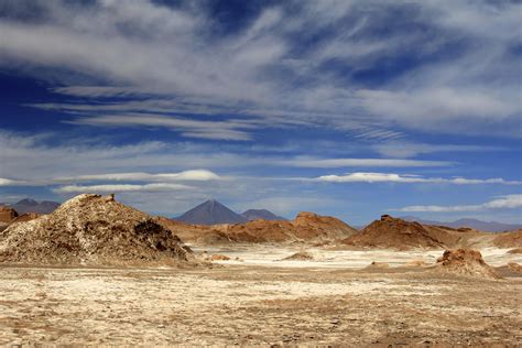 Patagonia Desert Argentina Vida No Deserto Deserto Vida