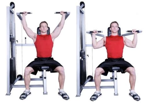 How To Do The Seated Overhead Press Muscles Worked Form