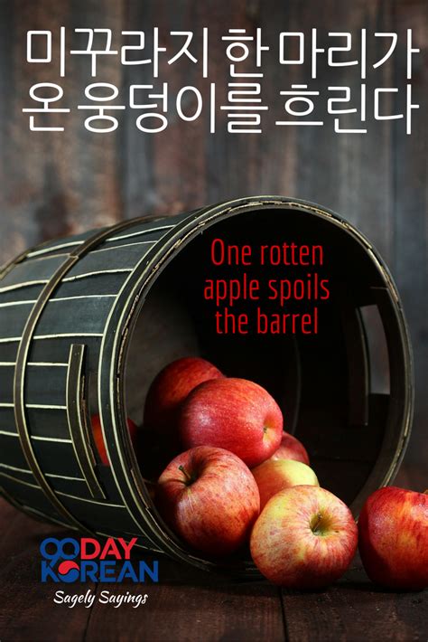 Repin If You Like One Rotten Apple Spoils The Barrel Click Pin For A