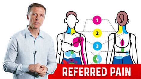 What Is Referred Pain Dr Berg