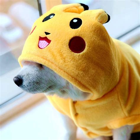 Anime Dog Sweater Kawaii Japanese Anime Dog Halloween Pumpkin Shirt