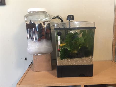 We did not find results for: Diy Canister Filter For Betta Tank | Freshwater Aquarium Builds 265200