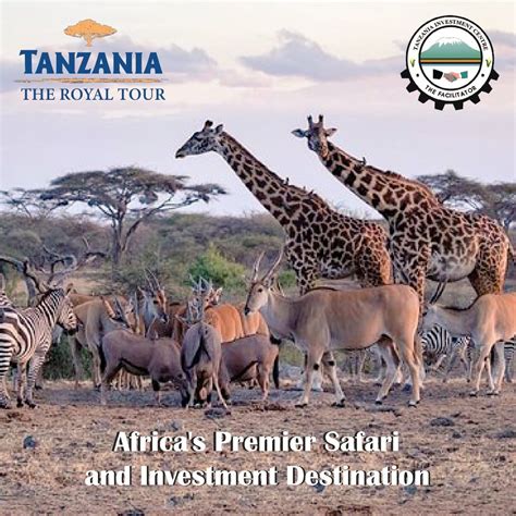 Tanzania The Royal Tour Promoting Tanzania As An Investment And