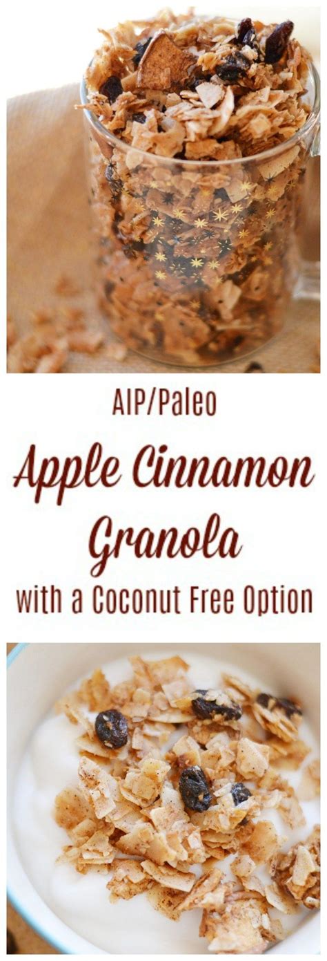 It can be used as a topping over sweeter breakfast bowls like the spiced carrot porridge (paleo, aip), a sweet potato bowl (paleo, aip), or a pumpkin coconut parfait (paleo, aip). Apple Cinnamon Granola (AIP/Paleo) * Lichen Paleo, Loving ...