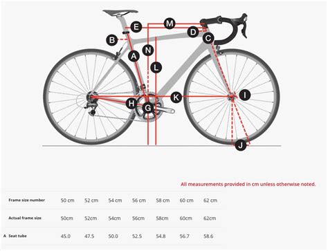 Trek Mountain Bike Frame Size Chart Vlrengbr