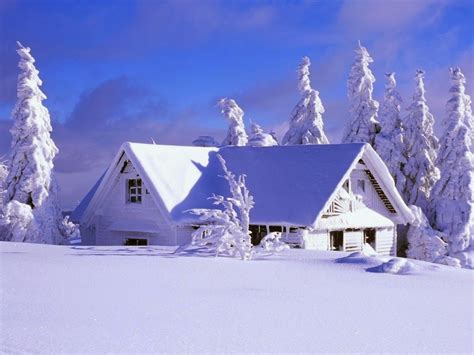 Slike Zime I Snijega Wallpaper Earth Winter Landscape Funny Pictures