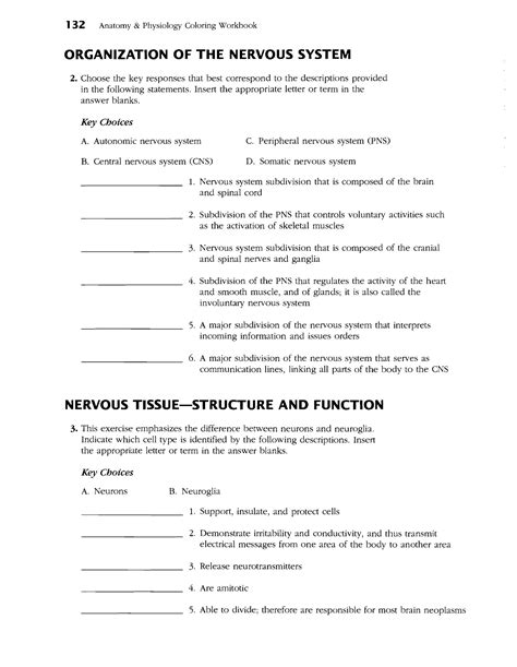 Anatomy And Physiology Coloring Workbook Chapter 7 Answer Key Pdf
