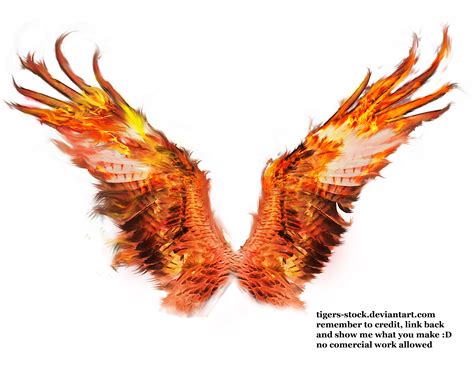 Wings Png Phoenix Wings Wings Art