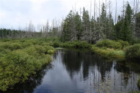 Your Guide To Camping 15 Million Acres In The Chequamegon Nicolet