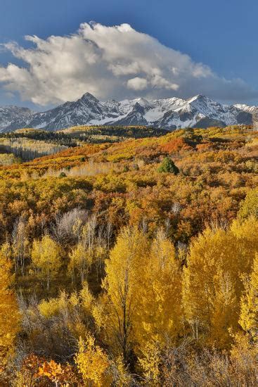 San Juan Mountains From The Dallas Divide Morning Light On Fall