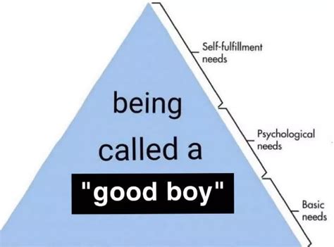 Maslows Hierarchy Of Needs Maslows Hierarchy Of Needs Maslow S My Xxx The Best Porn Website