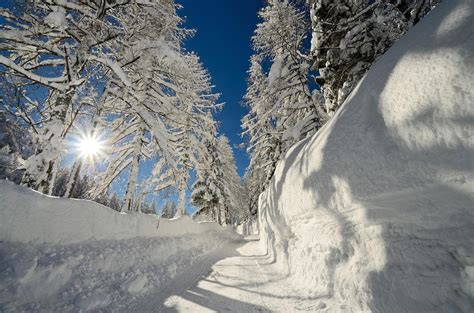 Sun Frost Snow Drifts Trees Winter Path Wallpapers Hd Desktop