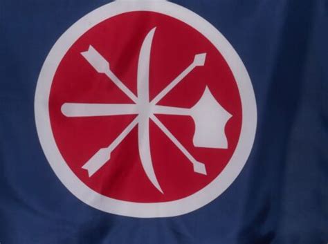 Choctaw Braves Flag New 3x5 Polyester Historical Csa Ebay